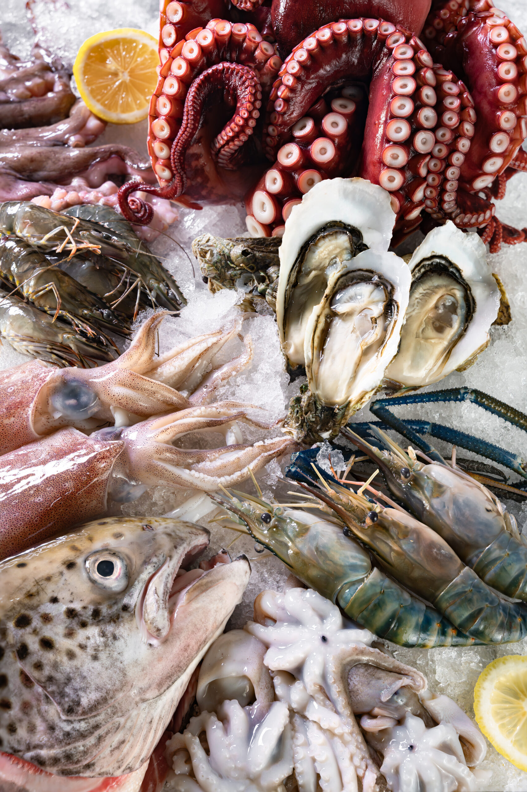 HẢI SẢN TƯƠI SỐNG