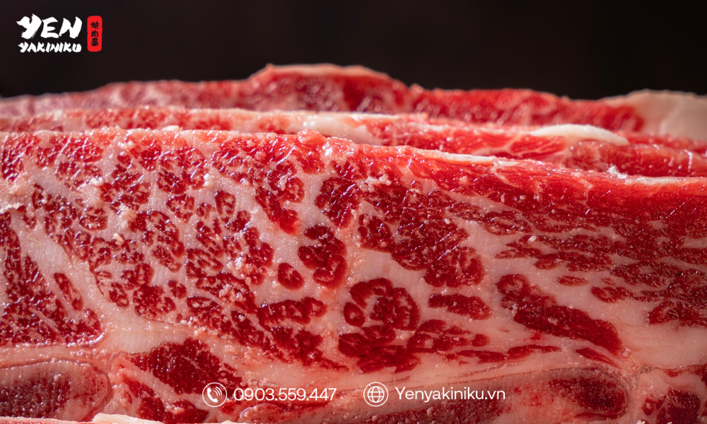 BUFFET NƯỚNG NHẬT TẠI ĐÀ NẴNG | THƯỞNG THỨC HƠN 130 MÓN NHẬT TẠI YEN YAKINIKU